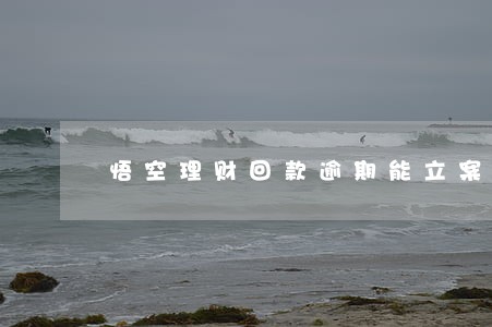 悟空理财回款逾期能立案吗 悟空理财回款逾期能立案吗