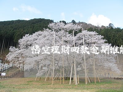悟空理财回款逾期谁能管 悟空理财回款逾期谁能管