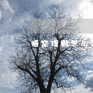 悟空理财怎么逾期 悟空理财怎么逾期