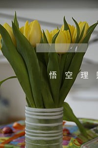 悟空理财散标逾期 悟空理财散标逾期