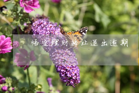悟空理财转让退出逾期 悟空理财转让退出逾期