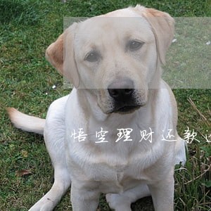 悟空理财还款逾期