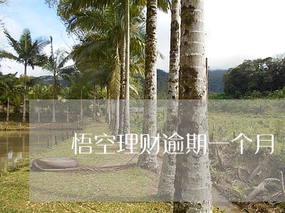 悟空理财逾期一个月 悟空理财逾期一个月