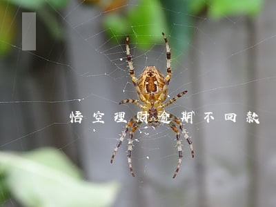 悟空理财逾期不回款 悟空理财逾期不回款