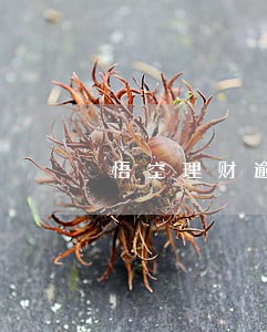 悟空理财逾期了怎么解决 悟空理财逾期了怎么解决