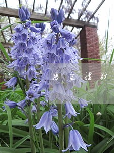 悟空理财逾期了这么长时间这么办 悟空理财逾期了这么长时间这么办