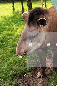 悟空理财逾期保险担保 悟空理财逾期保险担保
