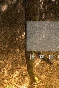 悟空理财逾期剩余收益如何退还 悟空理财逾期剩余收益如何退还