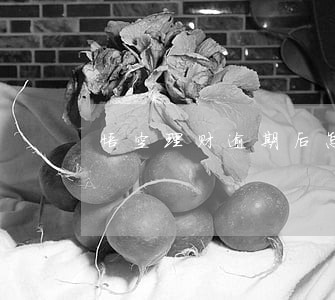 悟空理财逾期后怎么还款