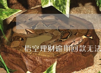 悟空理财逾期回款无法提款 悟空理财逾期回款无法提款