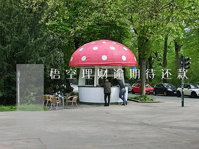 悟空理财逾期待还款 悟空理财逾期待还款