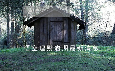 悟空理财逾期最新消息 悟空理财逾期最新消息