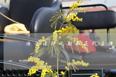 悟空理财逾期未还找法律援助 悟空理财逾期未还找法律援助