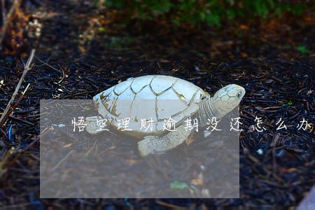 悟空理财逾期没还怎么办 悟空理财逾期没还怎么办