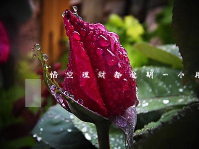 悟空理财都逾期一个月了 悟空理财都逾期一个月了