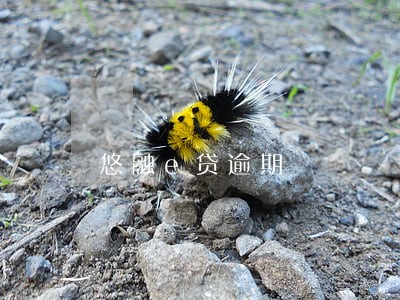 悠融e贷逾期 悠融e贷逾期