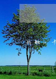 悠融u卡贷说有逾期 悠融u卡贷说有逾期