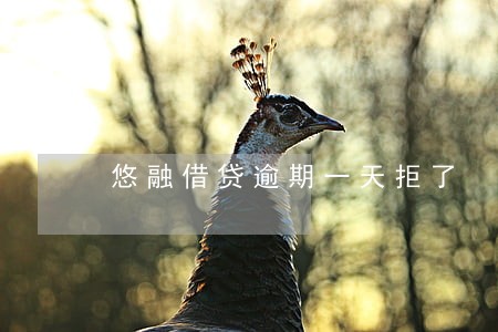 悠融借贷逾期一天拒了 悠融借贷逾期一天拒了