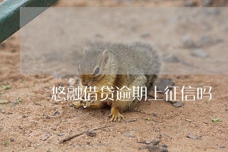 悠融借贷逾期上征信吗 悠融借贷逾期上征信吗