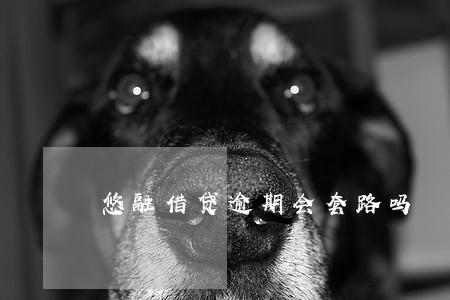 悠融借贷逾期会套路吗 悠融借贷逾期会套路吗