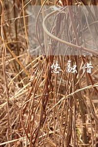 悠融借贷逾期四年 悠融借贷逾期四年