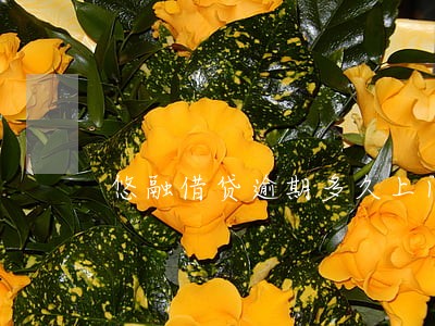 悠融借贷逾期多久上门 悠融借贷逾期多久上门