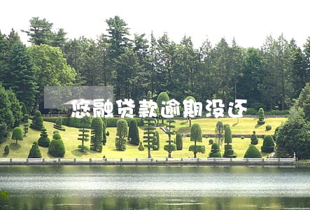 悠融贷款逾期没还 悠融贷款逾期没还