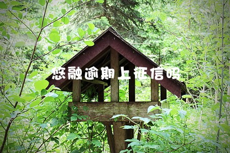 悠融逾期上征信吗 悠融逾期上征信吗