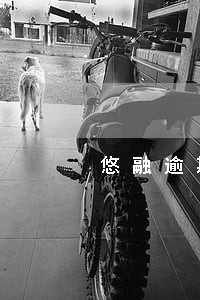 悠融逾期吧 悠融逾期吧