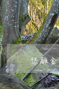 悠融金融发短信说我逾期 悠融金融发短信说我逾期