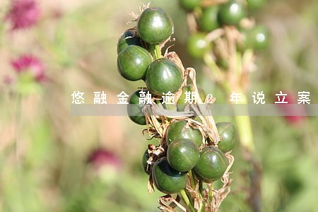 悠融金融逾期2年说立案怎么办 悠融金融逾期2年说立案怎么办