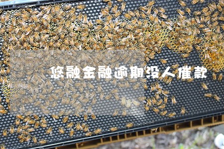 悠融金融逾期没人催款 悠融金融逾期没人催款