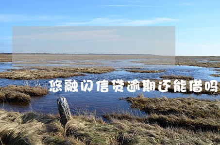 悠融闪信贷逾期还能借吗 悠融闪信贷逾期还能借吗