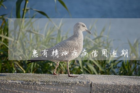患有精神疾病信用逾期 患有精神疾病信用逾期