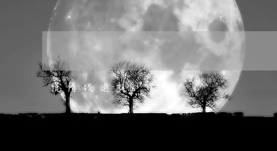 悦借钱逾期6