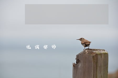 悦诚律师