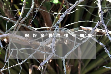 您好亲爱的律师朋友 您好亲爱的律师朋友