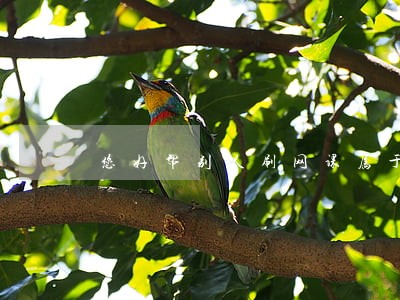 您好帮别人刷网课属于违法行为吗 您好帮别人刷网课属于违法行为吗