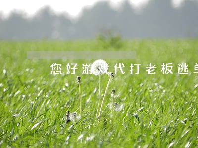 您好游戏代打老板逃单违法吗 您好游戏代打老板逃单违法吗