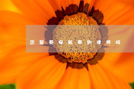 您是泰安新泰的律师吗 您是泰安新泰的律师吗