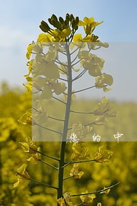 您的中国信用卡逾期冻结 您的中国信用卡逾期冻结
