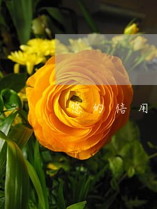 您的信用卡因异常逾期 您的信用卡因异常逾期