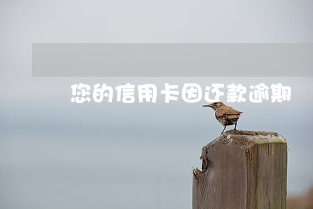 您的信用卡因还款逾期 您的信用卡因还款逾期