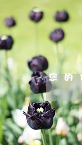 您的信用卡因违规操作逾期还款 您的信用卡因违规操作逾期还款