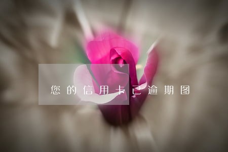 您的信用卡已逾期图 您的信用卡已逾期图