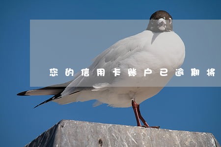 您的信用卡账户已逾期将上报 您的信用卡账户已逾期将上报