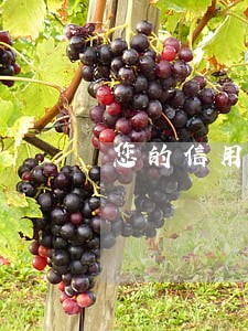 您的信用卡逾期被冻结 您的信用卡逾期被冻结