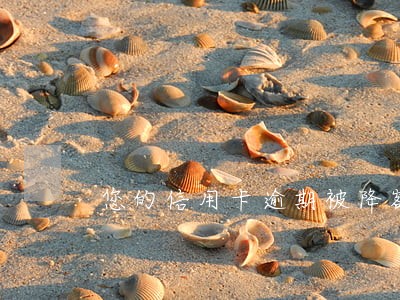 您的信用卡逾期被降额怎么办