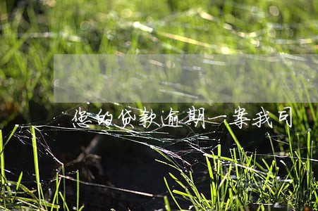 您的贷款逾期一案我司 您的贷款逾期一案我司