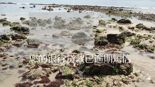 您的银行贷款已逾期短信 您的银行贷款已逾期短信